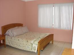 Green Forest of Coco Beach Studios