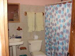 Green Forest of Coco Beach Studios