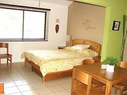 Green Forest of Coco Beach Studios