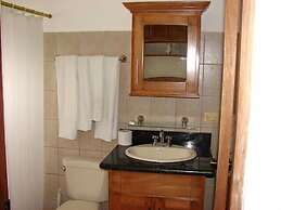 Green Forest of Coco Beach Studios