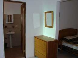 Green Forest of Coco Beach Studios