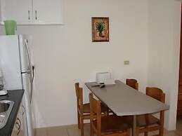 Green Forest of Coco Beach Studios