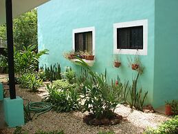 Green Forest of Coco Beach Studios