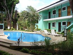 Green Forest of Coco Beach Studios