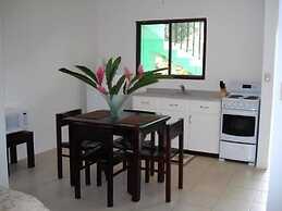 Green Forest of Coco Beach Studios