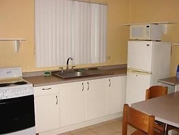 Green Forest of Coco Beach Studios