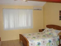 Green Forest of Coco Beach Studios