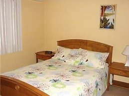 Green Forest of Coco Beach Studios