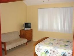 Green Forest of Coco Beach Studios