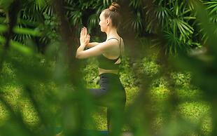 Explorar Koh Samui – Adults Only Resort and Spa