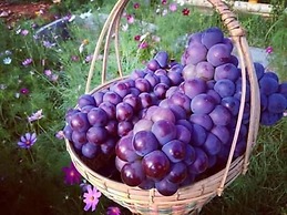 Hotel Shwe Nann Htike