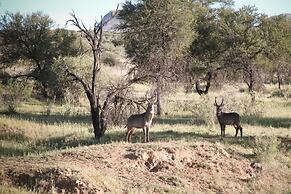Sweet Thorn Retreat Airport Lodge