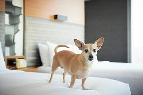 TownePlace Suites by Marriott Chicago Schaumburg