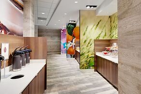 TownePlace Suites by Marriott Chicago Schaumburg