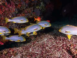 Drift Thelu Veliga Retreat