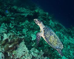 Drift Thelu Veliga Retreat