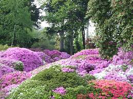 Azalea & Glicine House