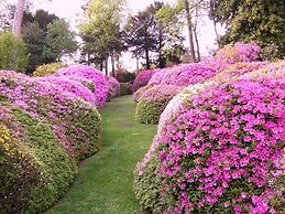 Azalea & Glicine House