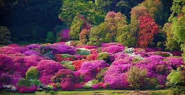 Azalea & Glicine House
