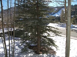 Arapahoe Lodge 1 Bed 1 Bath B