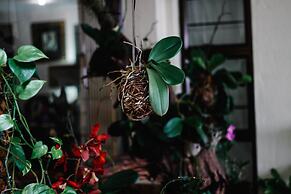 La Dolce Vita Guest House