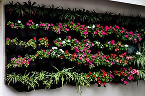 La Dolce Vita Guest House