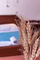 Poco Loco Bed & Breakfast