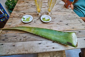 Poco Loco Bed & Breakfast