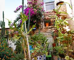 Poco Loco Bed & Breakfast