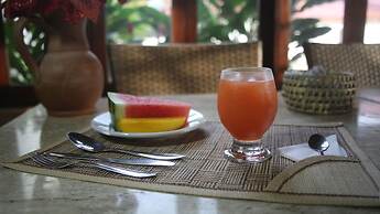 Hotel Pousada Do Buriti