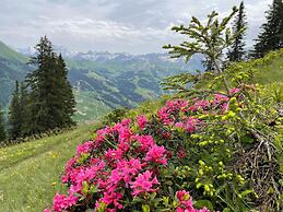 Alpenchalet Weidhaus