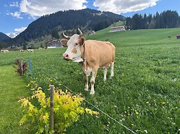 Alpenchalet Weidhaus