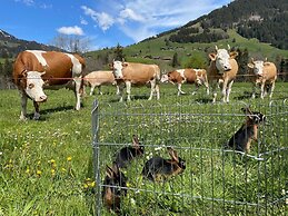 Alpenchalet Weidhaus