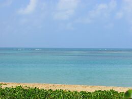 Rede Andrade Baía dos Corais