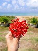 Rede Andrade Baía dos Corais