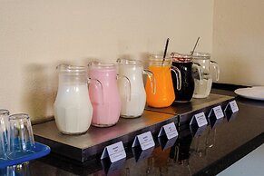 Rede Andrade Baía dos Corais