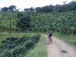 Amara Mountain Resort