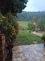 Agriturismo Podere La Paolina