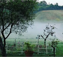 Agriturismo Podere La Paolina