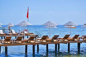 Palace Hotel Olive Odore