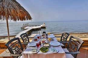 Palace Hotel Olive Odore