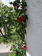 Dal Rosso