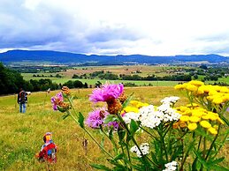 Penzion Bor