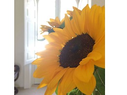 Giardini Mon Plaisir