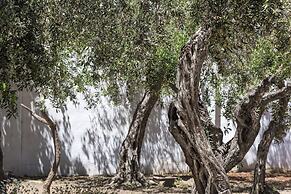 Giardini Mon Plaisir