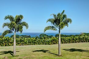 Mahana House Country Inn