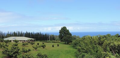 Mahana House Country Inn