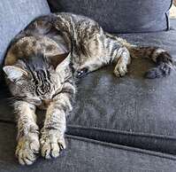 Mahana House Country Inn