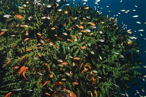 Gangga Island Resort & Spa