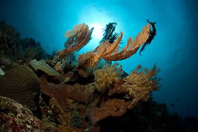 Gangga Island Resort & Spa